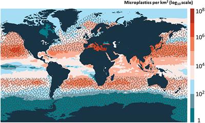 Cetaceans as Ocean Health Indicators of Marine Litter Impact at Global Scale